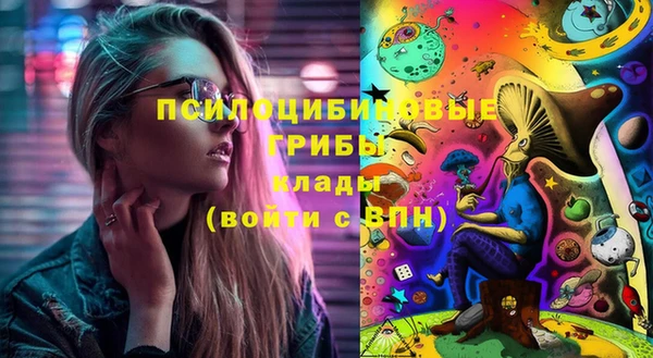 apvp Санкт-Петербург