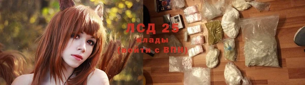прущая мука Корсаков