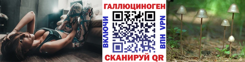 Галлюциногенные грибы мицелий  дарк нет Telegram  Александровское 